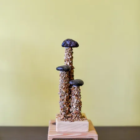 Appartement Ad Fines *